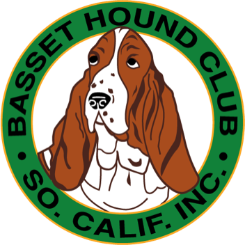 Basset hound hot sale club