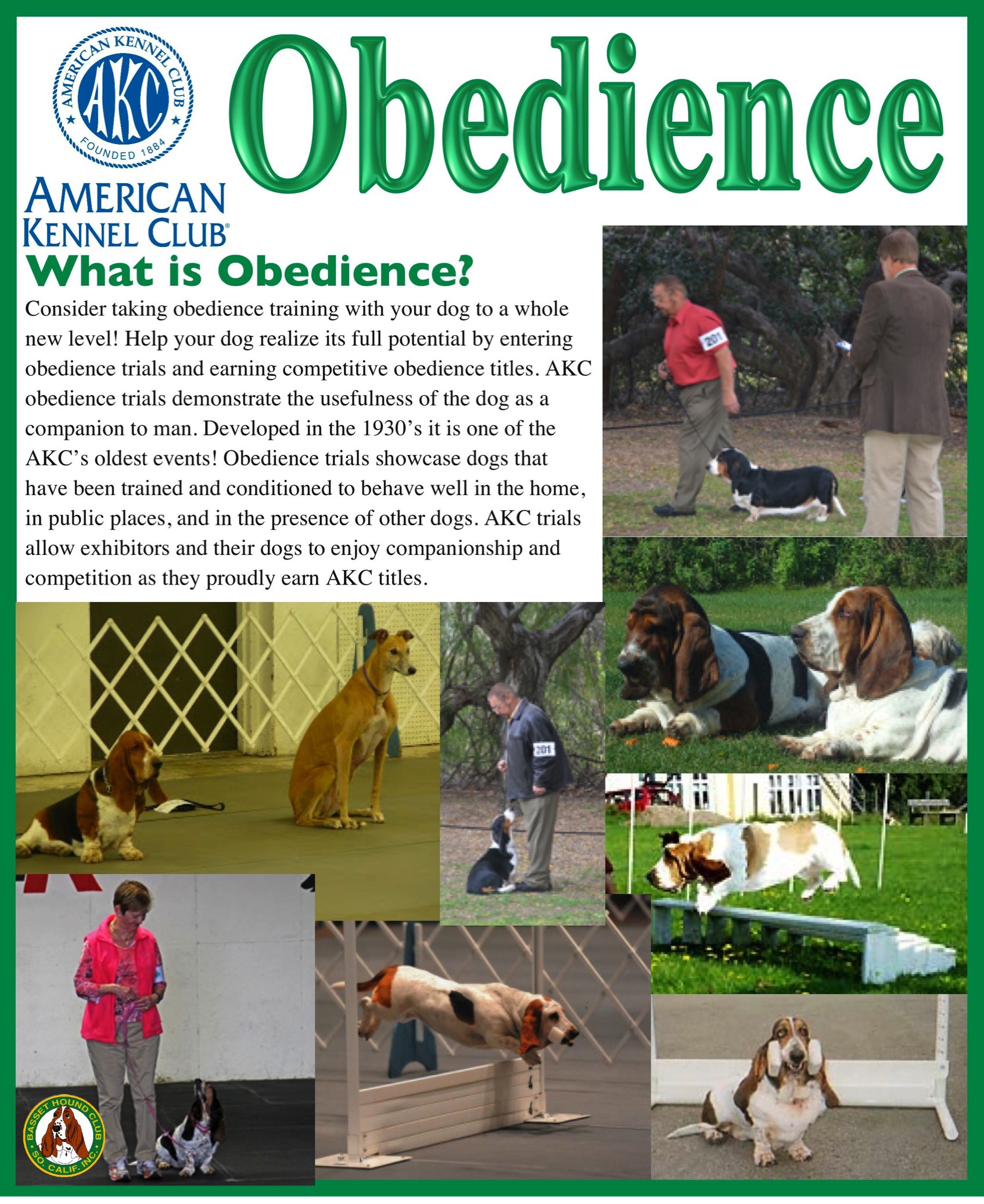 akc obedience levels